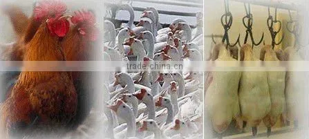 Wholesale price chicken plucking machine for chick/duck/goose/quail