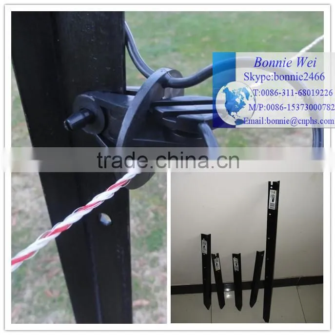 Australia Metal Y post(factory & trader)