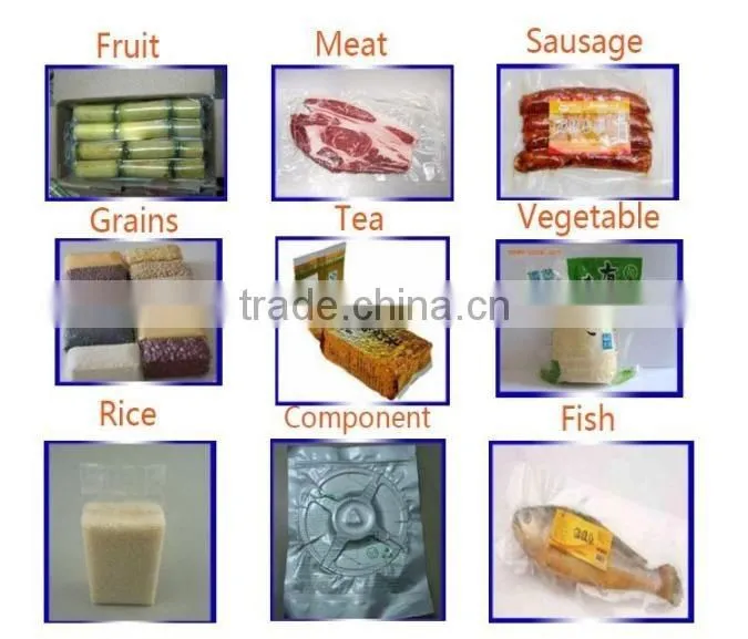 VS-600 Vacuum Packing Machine for Food Horizontal Type Out