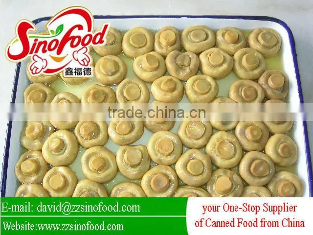 Canned Food Canned Mushrooms