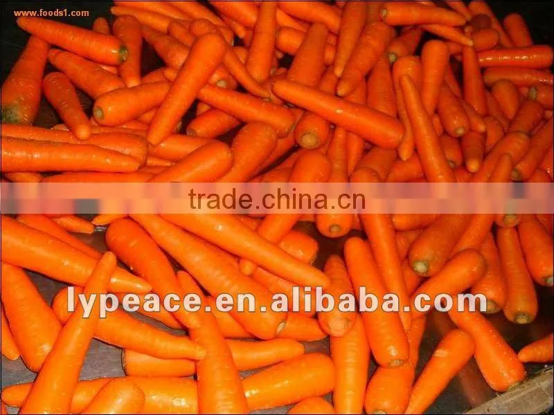 dehydrated ad carrot granules from china
