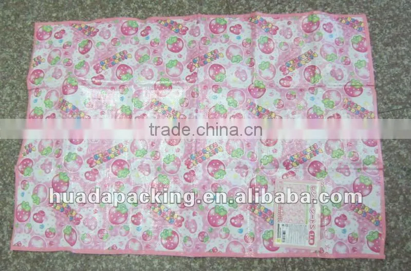 2012 High-quality pp folding plastic beach mat