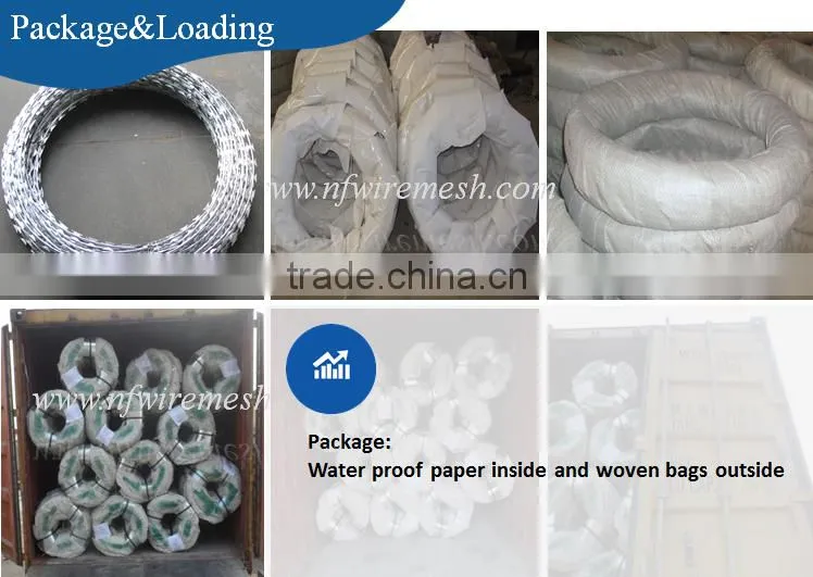 450mmm /500mm /700mm /1000mm hot galvanized coil concertina razor barbed wire(Guangzhou Factory)