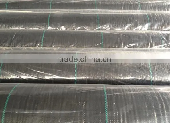 plain woven 12x12 mesh plastic weed mat