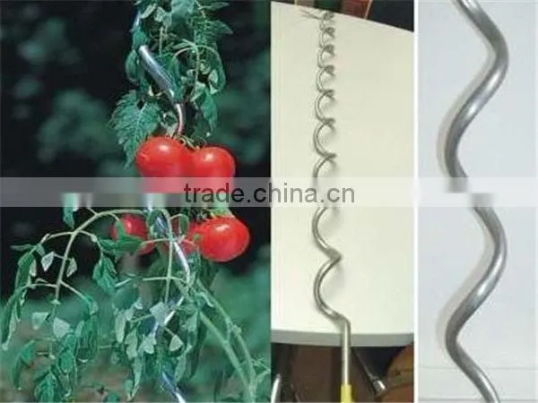 galvanized tomato spiral wire/tomato support wire