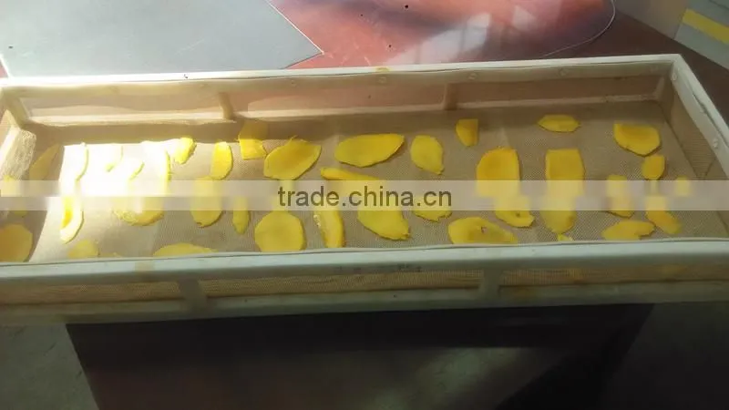 Tropical Food Machinery Mango Processing