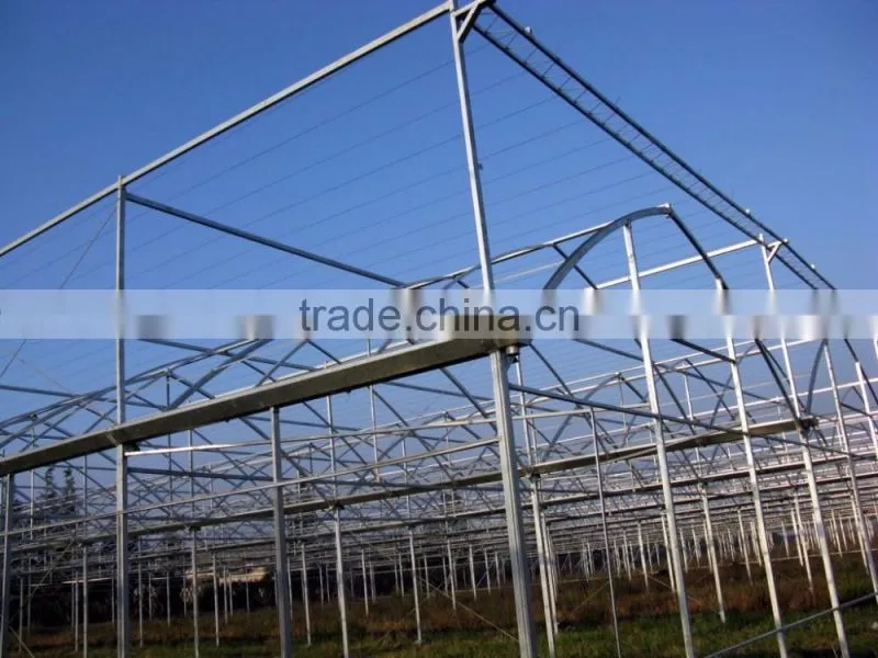 Hot dip galvanized steel structure plastic greenhouse