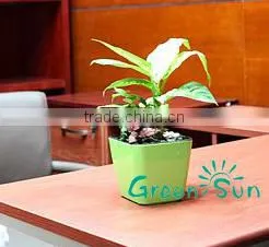 cheap rectangular planter bonsai pots