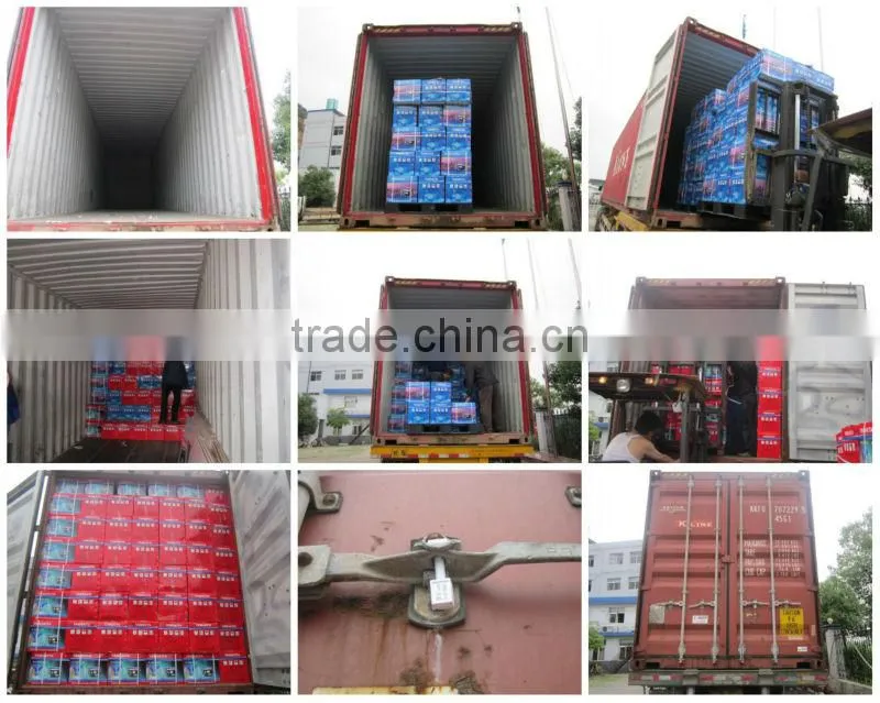 0.65kva 2 stroke small gasoline power generator, 1 cylinder gasoline engine