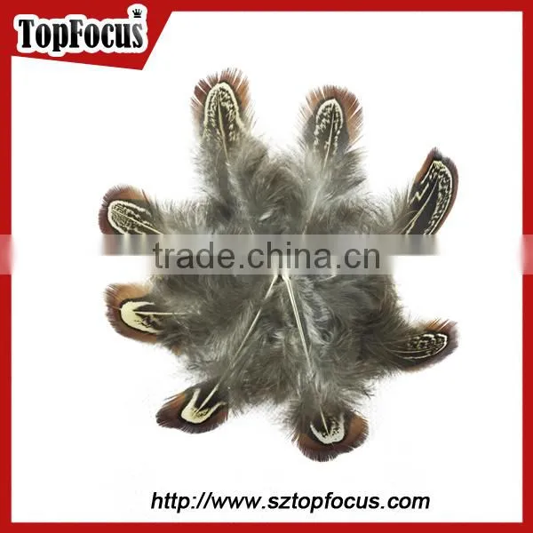 lower price natural synthetic pheasant feathers for carnival costumes