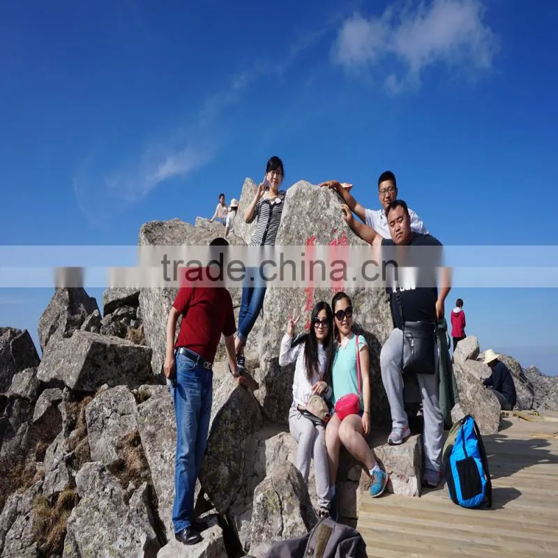 2015 China supplier polyester printed table cloth