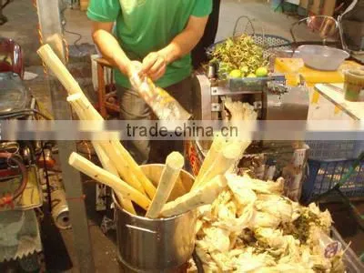 High quality battery sugar cane juicer for sale