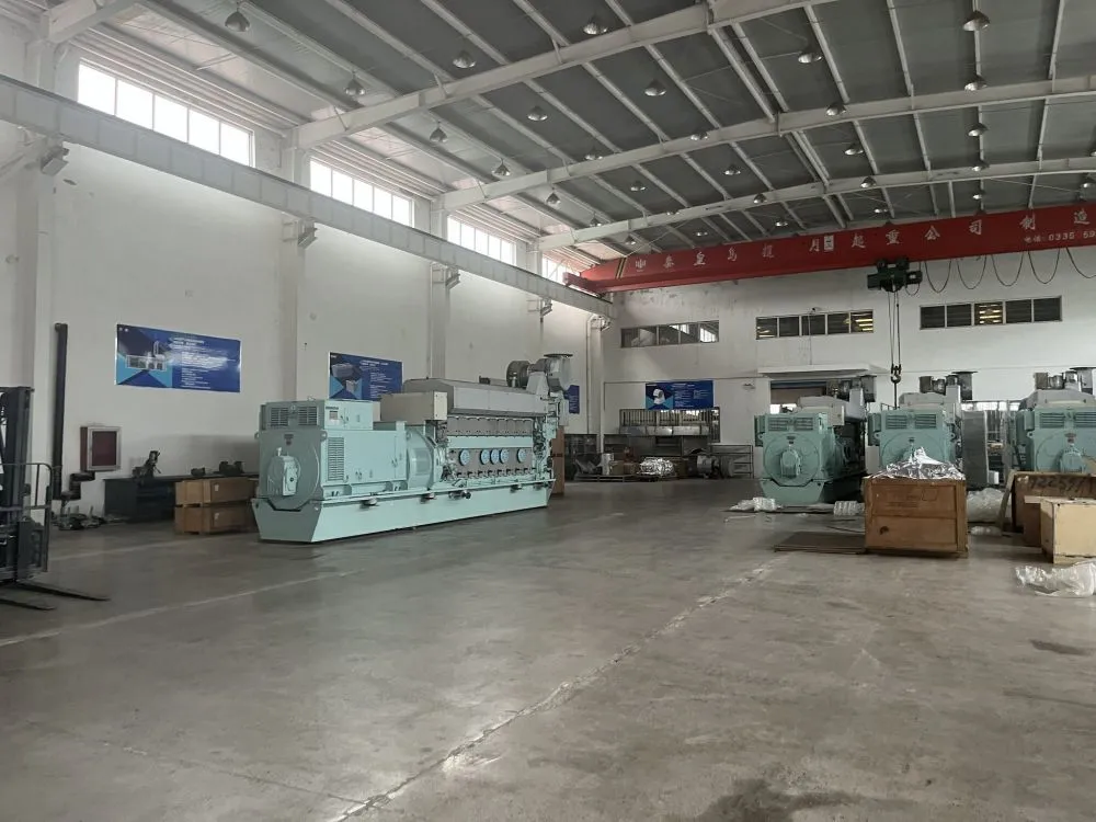 BFMP supplies diesel gensets and gas generator sets for the data center backup power station
