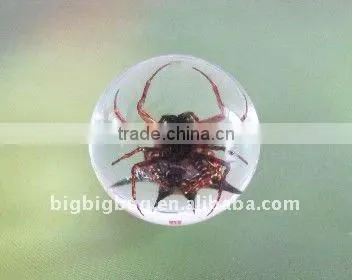 R25S05 Acrylic Insect-embedded Marble