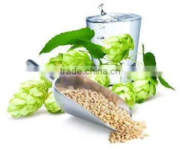 CHILDREN BREWER'S YEAST - En'jee