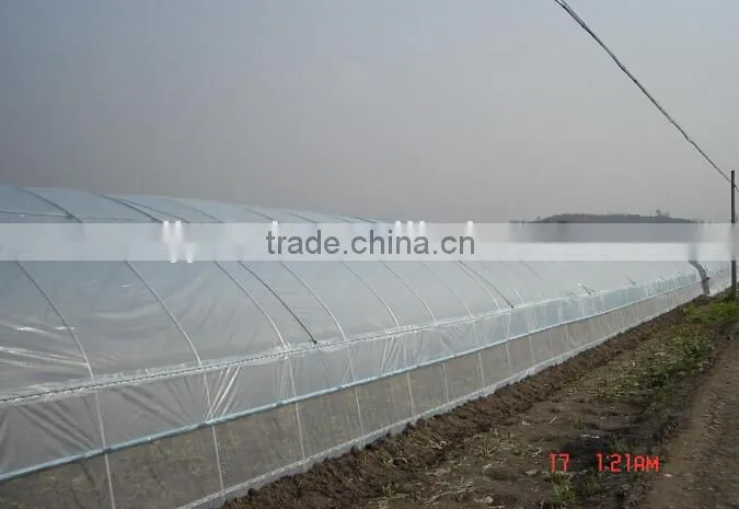 anti dripping poly tunnel greenhouse