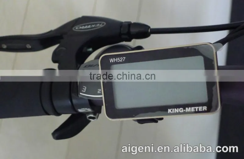 Trendy design electric bicycle mountain bike