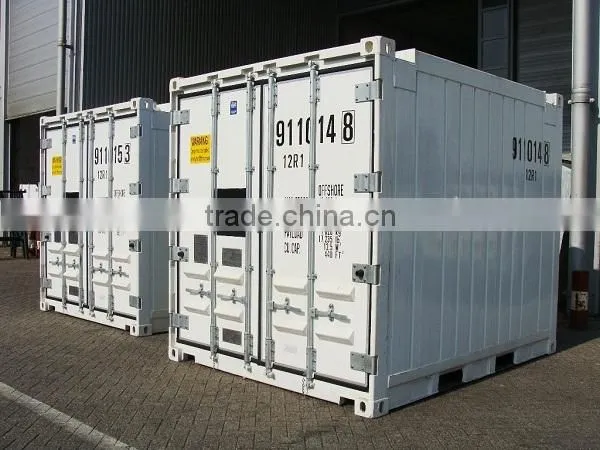 10'ft Offshore Reefer Container with Carrier Refrigerator Unit