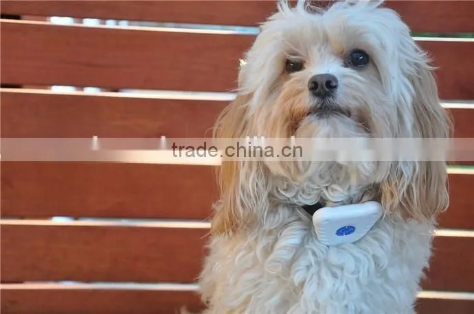 LoreWin LY-015 Wholesale Ultrasonic Bark Collar Dog Trainer