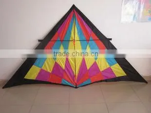 3m delta kite