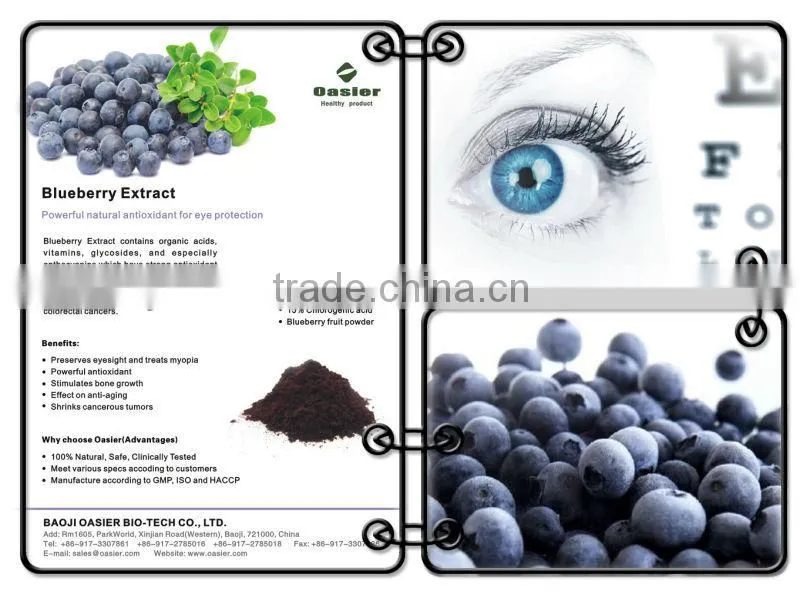 100%Natural blueberry extract concentrate powder