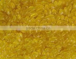 Nutritional /Artificial Brown Rice Processing Equipment/Production Machinery