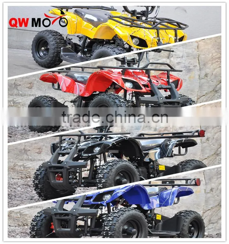 cheap 800W Mini Electric Quad ATV for kids