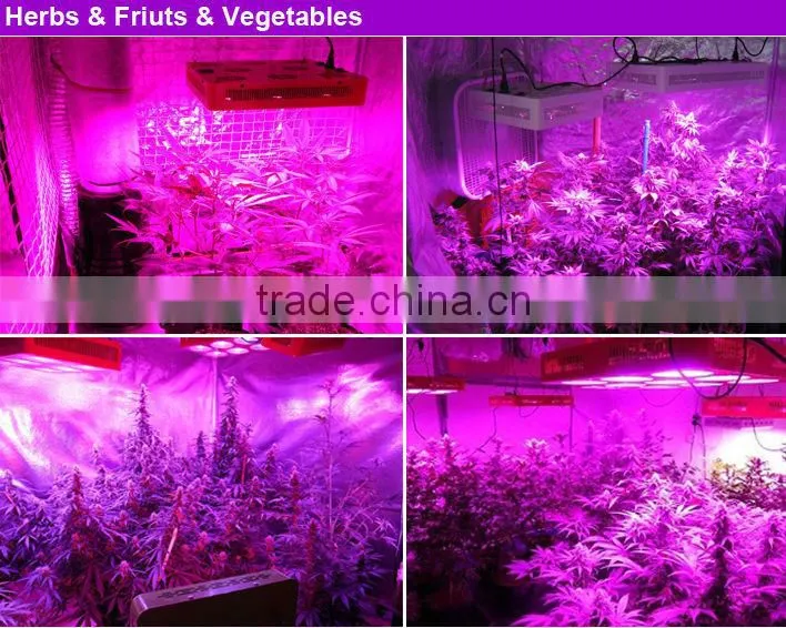 Hydroponic system 400w cob led grow light