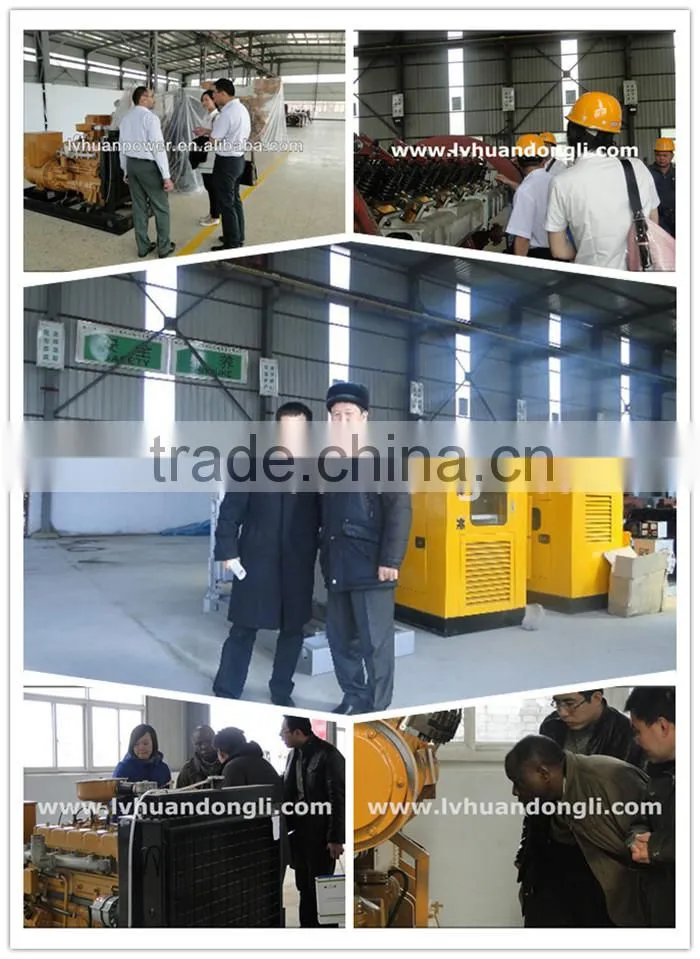 CE ISO Approved natural gas generator / shandong lvhuan power equipment