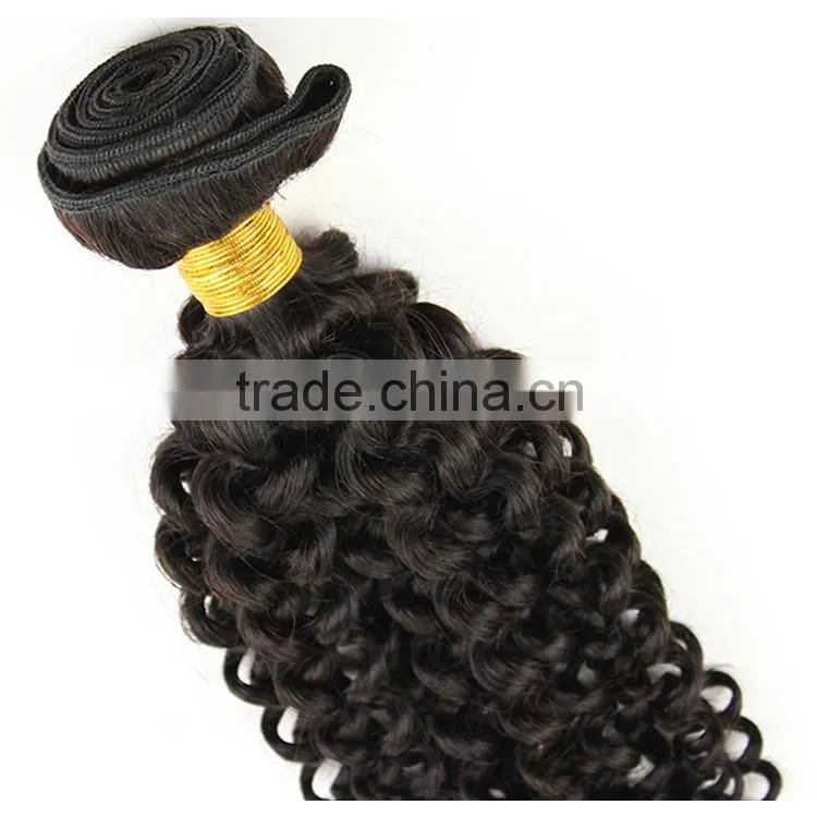 100% unprocessed human virgin Brazilian hair kinky curly