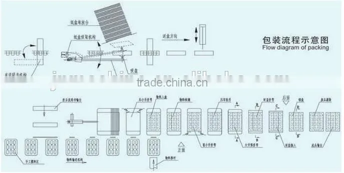 automatic capsule soap tube cartoning machine