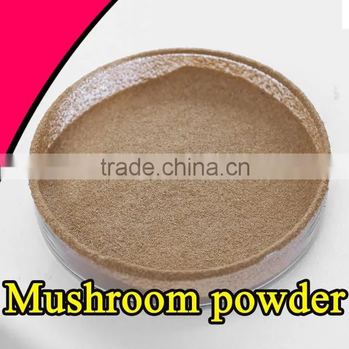 Natural high quality mushroom powder Health reishi mushroom powder