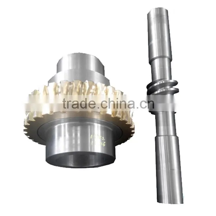 Brushless dc motor with enveloping worm gear