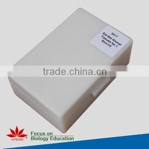 Individual microscope prepared slides Medical parasite microscope slides