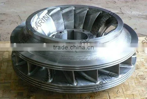 Vertical Francis Water Turbine