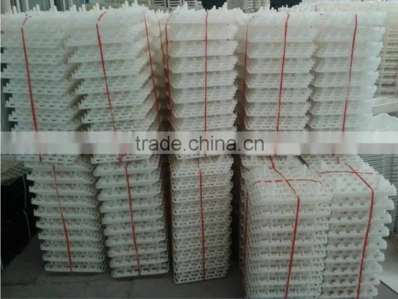 Transport Cages for Chicken