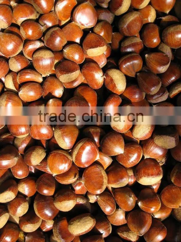 Supplier of peeled chestnut from Shandong export to all market