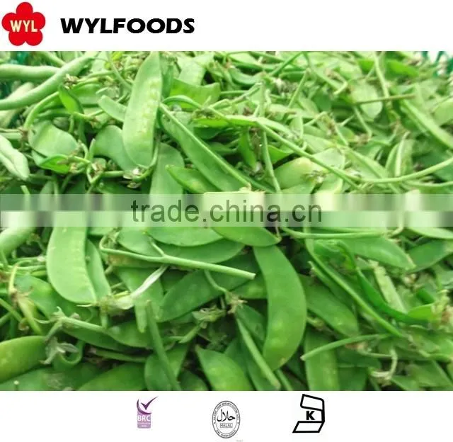 IQF china price for frozen Pea pods 2015 high quality