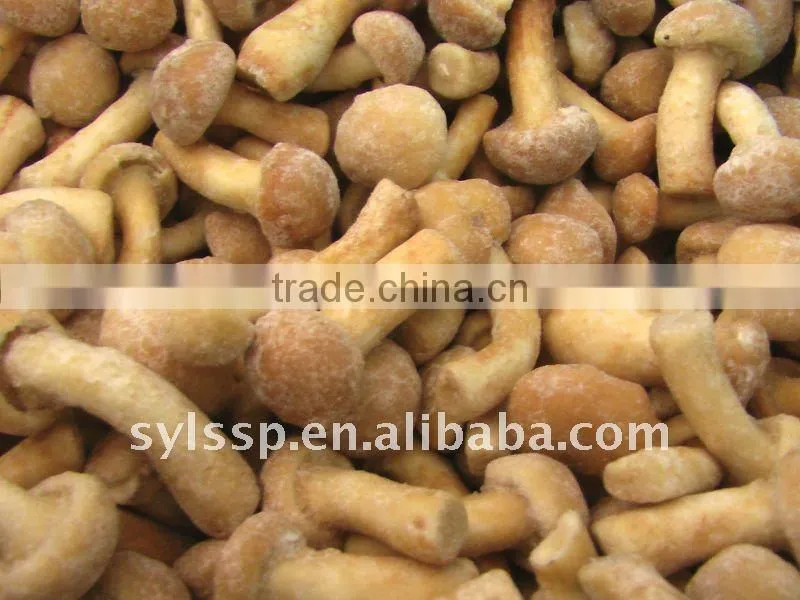 Brined shiitake, shiitake in salt water