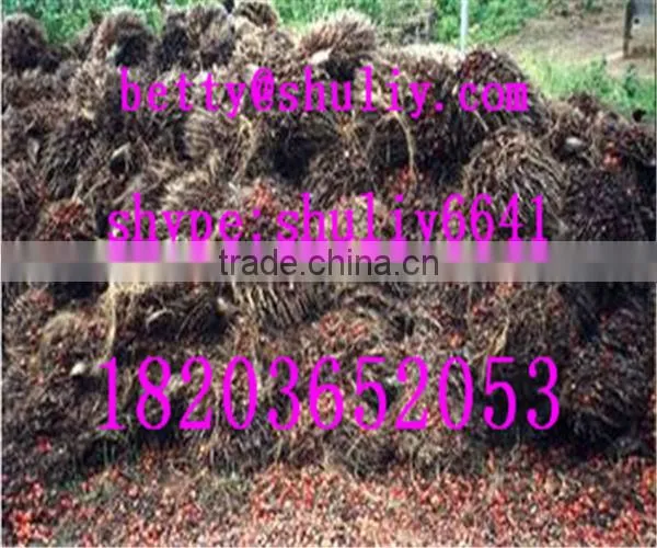 good quality Screw Oil extraction/coconut oil press/Screw copra Oil Press Machine//0086-18203652053