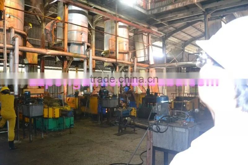 Most popular bottom price in Africa 40TPH palm oil equipment