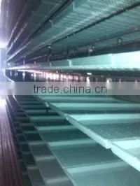 new type automatic barley sprout machine