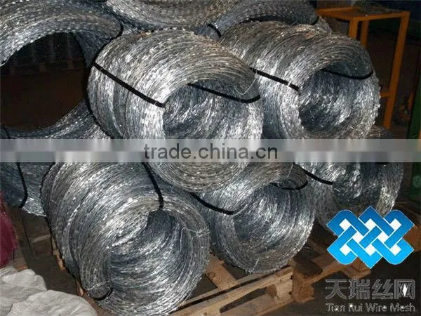 razor barbed wire fence