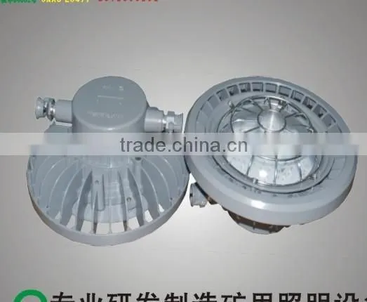 FG-01 Explosion proof laneway light/OEM