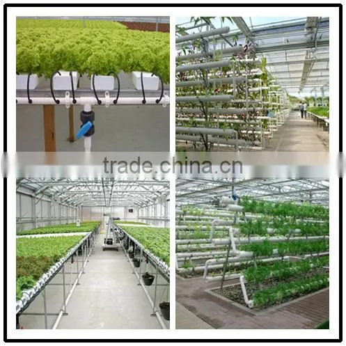hot sale greenhouse hydroponic culture tray/system for vegetables