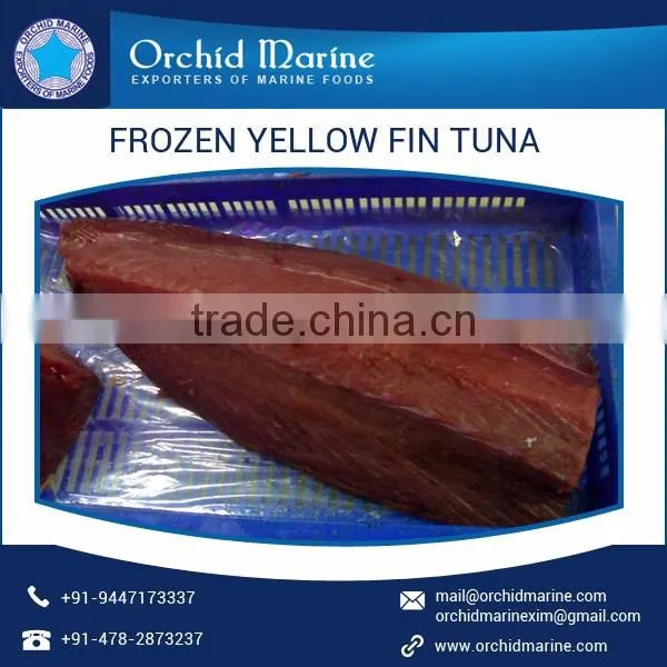 Highly Nutritious Whole Round Yellowfin Tuna for Bulk Export