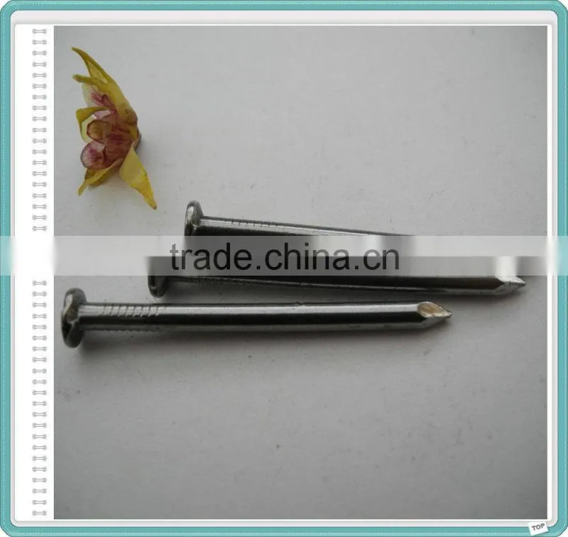 high quality common wire nail iron nal factory
