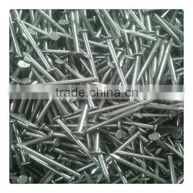 wood common nail/common iron nail/polished common nail factory nail