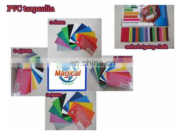 Customized Top quality Inflatable water catapult blob