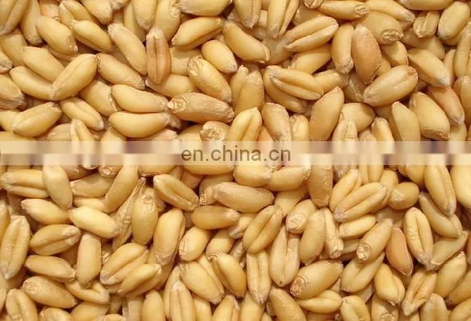 High quality fodder mixing equipment/feedstuff crushing machine/animal feed grinding machine